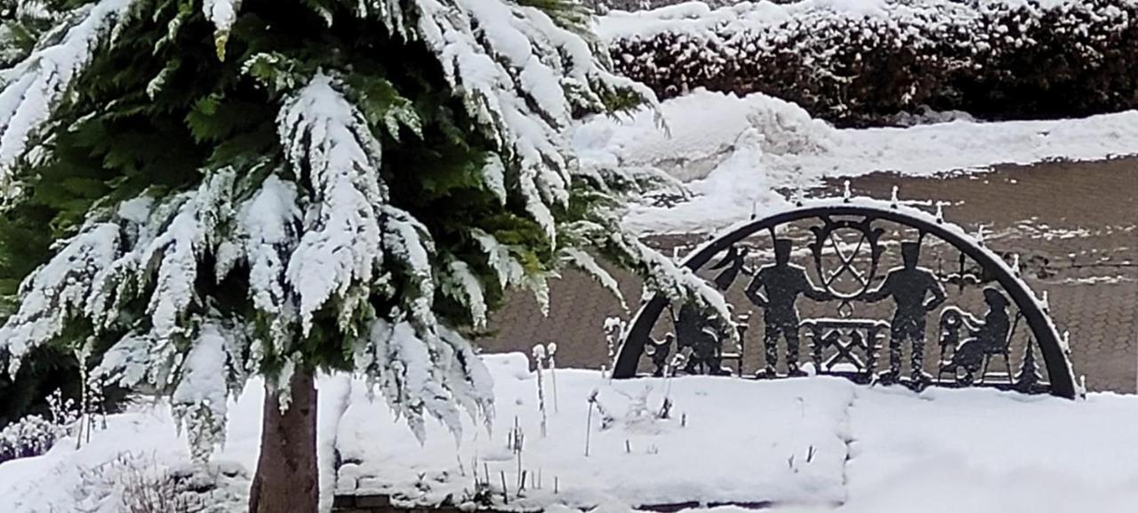 Fewo Harz Haennig 1 Wieda Luaran gambar