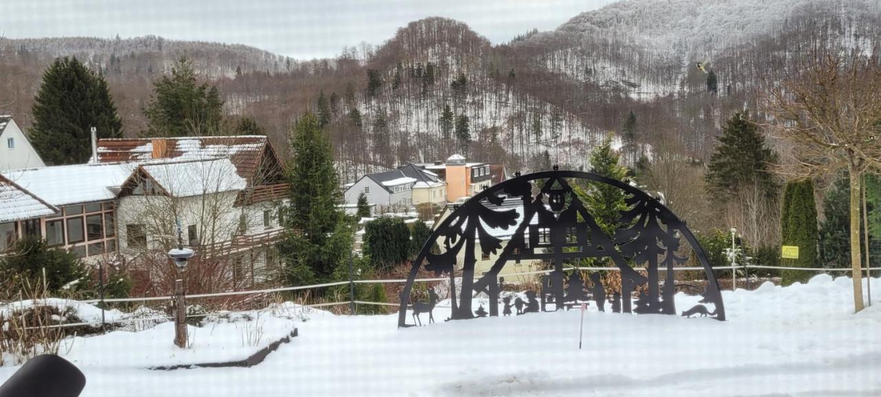 Fewo Harz Haennig 1 Wieda Luaran gambar