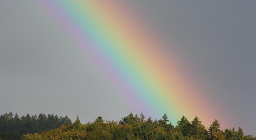 Fewo Harz Haennig 1 Wieda Bilik gambar