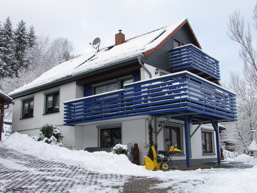 Fewo Harz Haennig 1 Wieda Luaran gambar